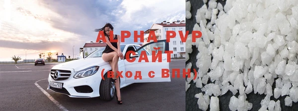 ПСИЛОЦИБИНОВЫЕ ГРИБЫ Богданович