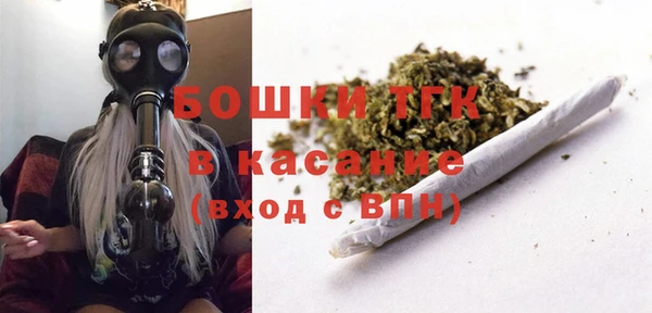 ПСИЛОЦИБИНОВЫЕ ГРИБЫ Богданович