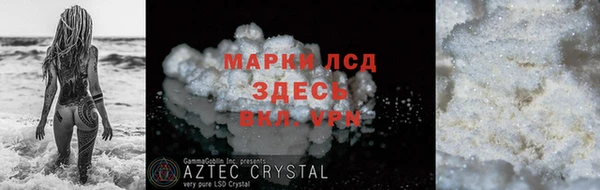 ПСИЛОЦИБИНОВЫЕ ГРИБЫ Богданович