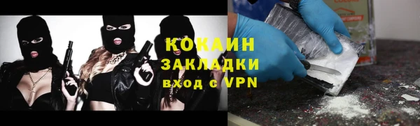 ПСИЛОЦИБИНОВЫЕ ГРИБЫ Богданович