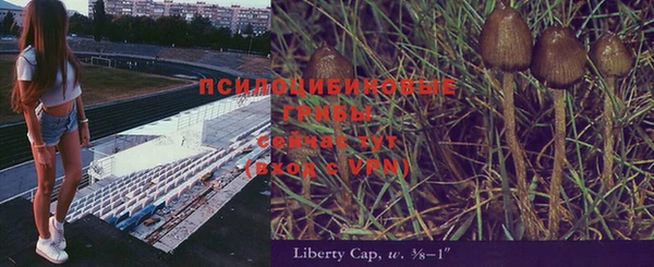 ПСИЛОЦИБИНОВЫЕ ГРИБЫ Богданович