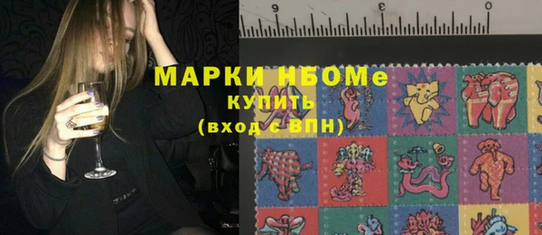 ПСИЛОЦИБИНОВЫЕ ГРИБЫ Богданович