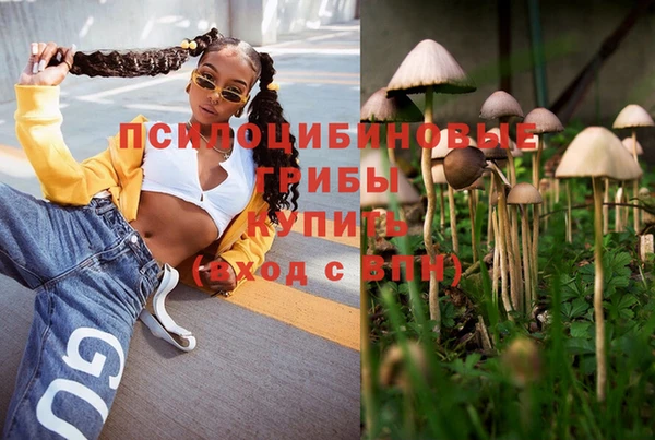 ПСИЛОЦИБИНОВЫЕ ГРИБЫ Богданович