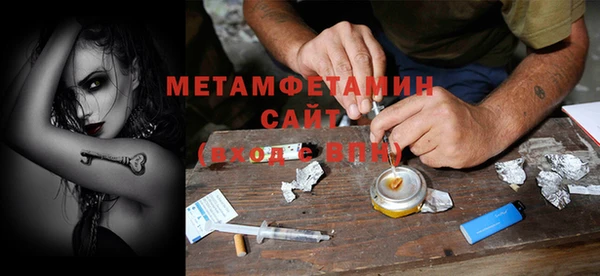 ПСИЛОЦИБИНОВЫЕ ГРИБЫ Богданович