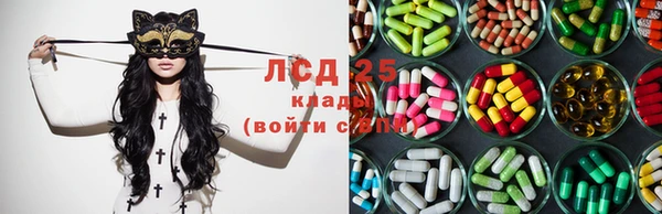 ПСИЛОЦИБИНОВЫЕ ГРИБЫ Богданович